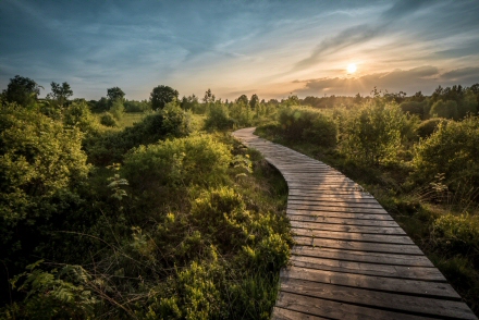 What can holistic life coaching help with ?