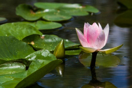 Rebecca Long - Holistic Life Coach - Why is it holistic